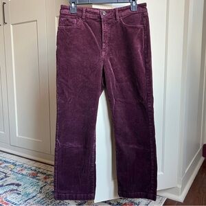 LOFT Plum Purple Corduroy Straight Leg Pants Size 8/29
